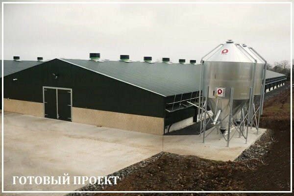 Этапы возведения птицефабрики от завода ВелесТент-кхм